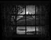 Gothic Window Animated