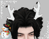 ❆ Xmas Ligth Horns