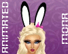 Playboy Bunny Ears v1