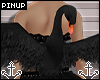 ⚓ | Black Swan Wings