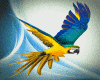 -AD- PARROT FILTER  v1