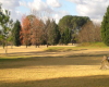Golf at Autumm