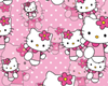 [TR]  Hello Kitty 7