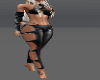 DJM Black Amore Fit