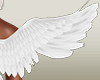 !Angel wings 2