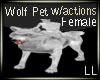 Wolf Pet w/Actions F