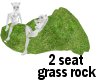 grass rock