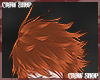 Eclipze Ginger