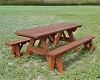 Fish Camp Table