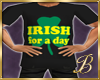 IrishForADay