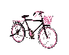 bike pink&black animated