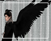 Black Angel Demon Wings