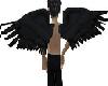 black egginer wings