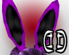 .D. Purple Bunny ears
