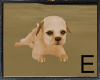 [E] Cute Puppy