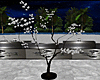 Black-Silver Kiss Tree