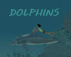 DOLPHINS RIDES DOLPHINS
