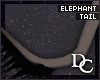 ~DC) Elephant Tail