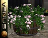 ~V~Flower Barrel -Pink/W