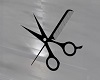 Salon Scissors & Comb