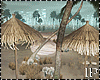 Honeymoon Island Beach