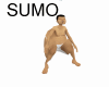 Sumo Head