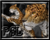 PSL Jaguar Enhancer
