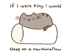 {LH} Tiny Marshmallow