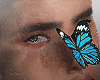 Butterfly blue