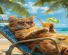 Beach Cats