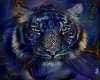 Adult Tiger