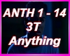 3T Anything