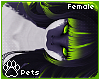 [Pets] Esme | hair v3