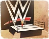 WWE Stage