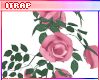 ♡ Rose Vines | Pink
