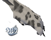 Snow Leopard Paws M
