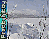 [PK] Winter Background
