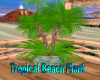 Tropical Beach Plant