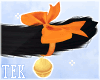 [T] Pumpkin Neko tail