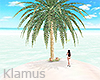 My Island