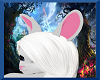 White Rabbit Ears V1