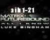 Dub Remix: All I Know P1