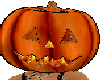 ani pumpkin head M/F