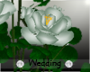 Allure Wedding Flowers