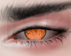 Couple Orange Eyes M