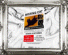 𝕽. missing cat post