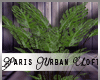 2G3. Urban - Plants