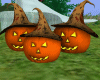 S! Halloween Pumpkins *