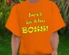 Levi is  t-shirt