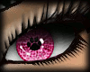 Pink Neko Eyes